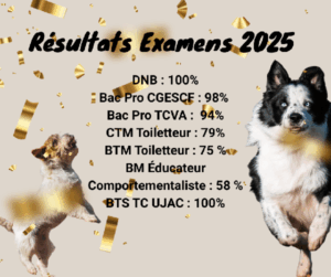 Résultats d'examen 2025